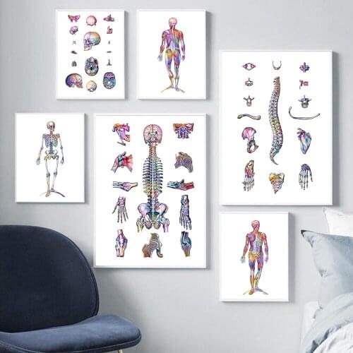 Human Anatomy Muscles System Art Poster Print Body Map Canvas Wall Pictures for Science Medicine Bedroom Decor Chiropractor Gift