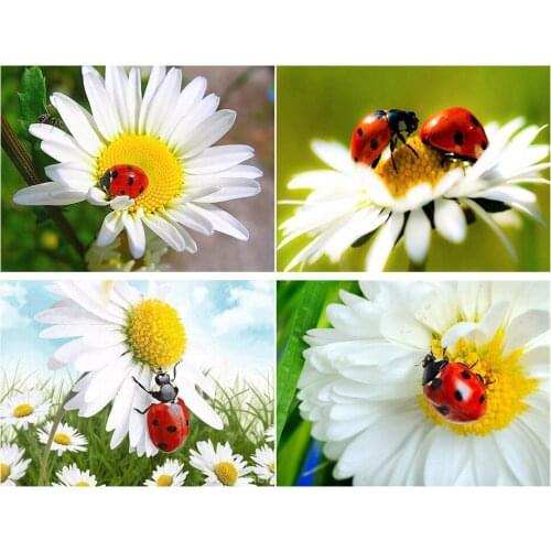 5D DIY Diamond Painting Flowers Ladybug Kit Full Drill Square Embroidery Mosaic Set Picture Of Rhinestones Home Decoration Gift