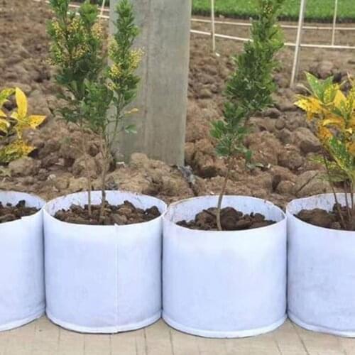 Non Woven Grow Bag Aeration Pot Containers Plant bag 5 Size Root Container White Round Fabric Pots 1pcs