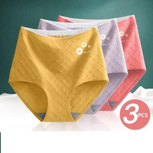 Women Panties Lady Cotton Underwear Girls Breathable Flower Print High Waist Briefs Women Cute Sexy Lingerie Intimates 3PCS