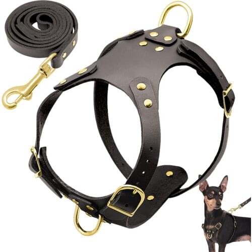 Brown Genuine Leather Dog Harness and Leash Set Front Leading Dogs Pet Harness No Pull For Small Medium Dogs Pug Chihuahua