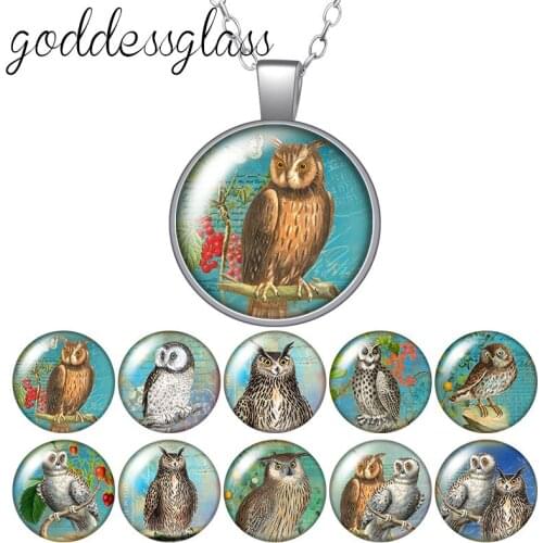 Retro Vintage style Owl animals Round Glass glass cabochon silver plated/Crystal pendant necklace jewelry for Gift