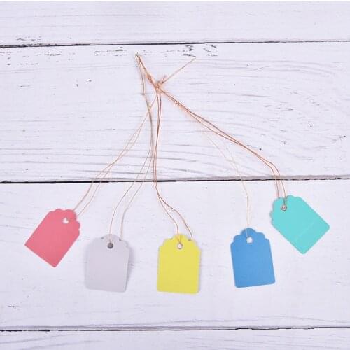 100pcs Waterproof Strip Line Plant Labels Plants Hang Tag Hanging Tags Flower Pot Marker Signs Garden Decoration Gardening Tools