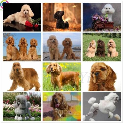 5D DIY Full Square drill Diamond Painting Cross Stitch Cute Poodle puppies Rhinestone Embroidery beads pet dog Mosaic decor gift