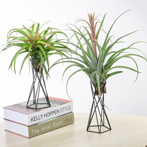 Nordic Style Air Plant Holder Metal Flower Pot Stand Geometric Iron Tillandsia Holder Table Home Garden Ornaments Home Decoratio