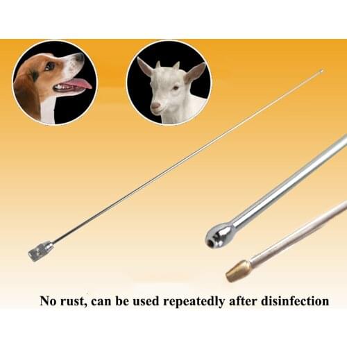 5PCS pet clinic dog canine artificial insemination semen deposition stainless steel needle round tip device tools sheep farm