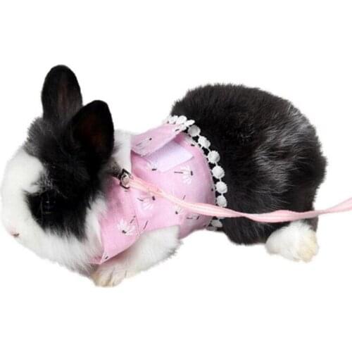 2020 New Dog Dress for Small Dogs Cats Yorkshire Summer Dog Dress Harness And Leash Set High Quality Safety Small Pet Leash