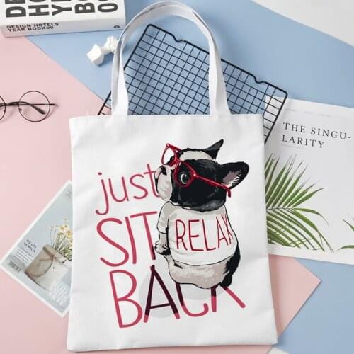 French Bulldog 2021 New Female Large Capacity Shopping Canvas Shoulder Tote Bags Kawaii Harajuku Cartoon Art Teacher Handbag