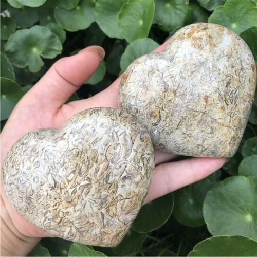 Wholesale 189g Natural Petrified Wood Heart Polished Quartz Crystal Rock Stones and Crystals