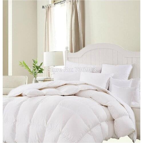Autumn Winter King Queen Full Twin 95% European Duck Down Blanket Doona Quilt Free Shipping