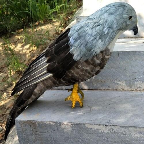 Big simulation eagle model toy polyethylene & furs eagle doll gift about 50cm 2861