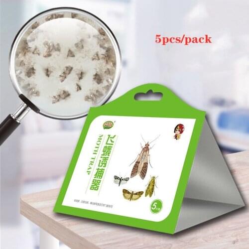 5pcs Pantry Food Moth Trap Pheromone Killer Paste Sticky Glue Trap Pest Reject Fly Insects Family Factory Restaurant Use Equip