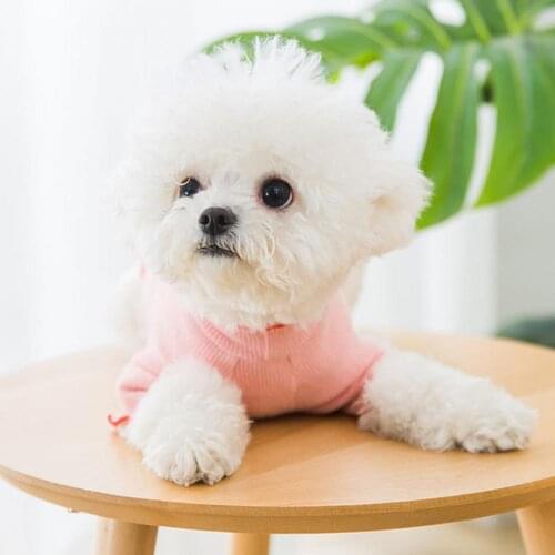 Pet Vest Strawberry Pattern Printing Two-legged Knitted Fabric Ruffle Hem Shirt for Dog летняя одежда для собак