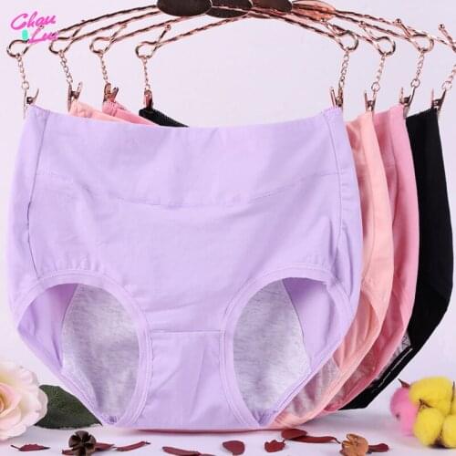 Chau Lui Menstrual Period Underwear Women Physiological Leakproof Female Underwear Waterproof Briefs XL 2XL 3XL 4XL 5XL 6XL
