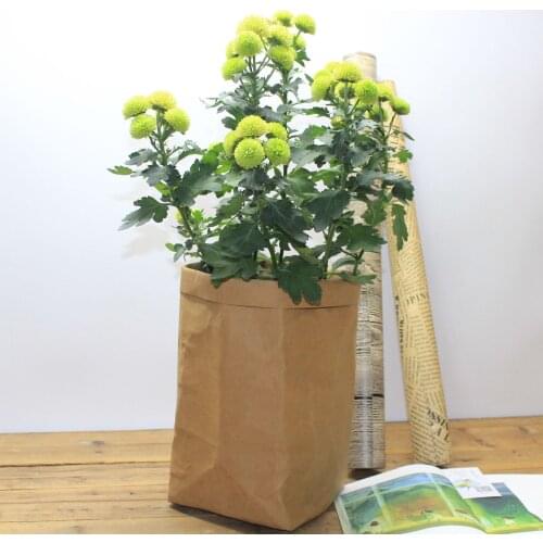 Mini Succulents Planter Pot Washable Kraft Paper Flowerpot Creative Desktop Flower Pots Reuseable Multifunction Home Storage Bag