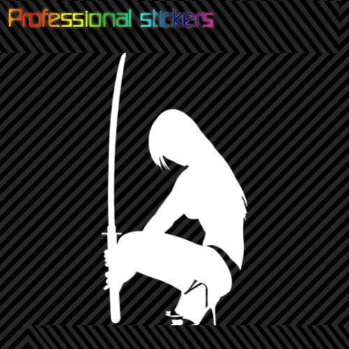 Ninja Girl Sticker Die Cut Decal Self Adhesive Vinyl Sexy Exotic Karate for Car, Laptops, Motorcycles, Office Supplies