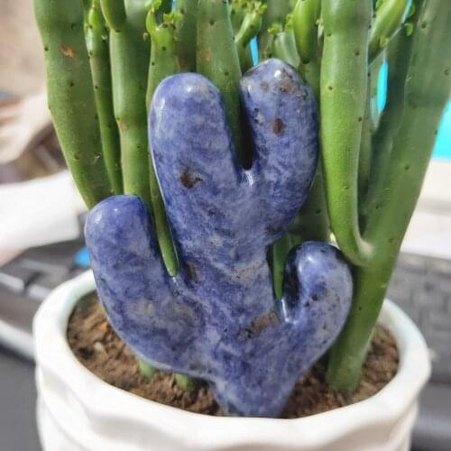 7-8cm Natural Blue-vein stone quartz cactus blue sodalite crystal cereus home decor healing