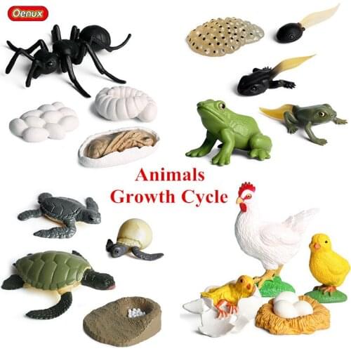 Oenux Animal Models Toys Classic Growth Cycle Simulation Animal Model Hen Ant Mosquito Action Figures Children Educational Toy