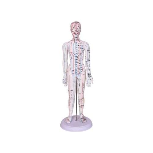 48CM White FeMale Lettering acupuncture point body mannequin of acupuncture, Medical Research massage reflex teaching model C518