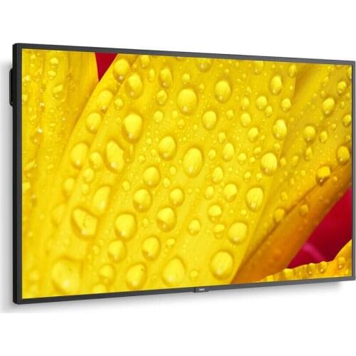 NEC LCD Monitors