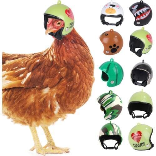 Farm Pet Chicken Helmet Sun Rain Protection Helmet Cute Helmet For Hens Outdoor Henhouse Protective Gear Chicken Accessories