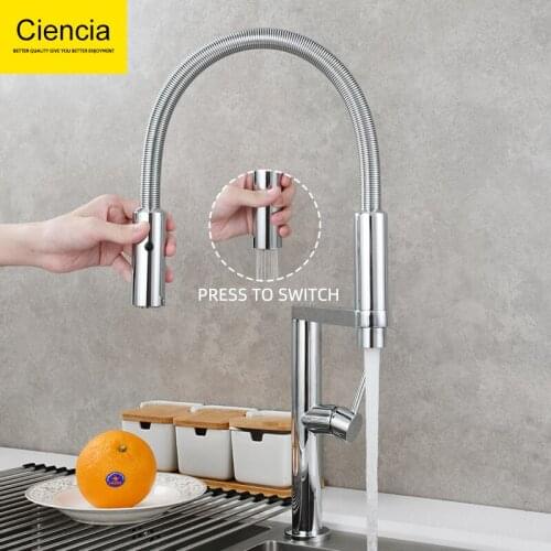 Ciencia Pull-out Kitchen Faucets