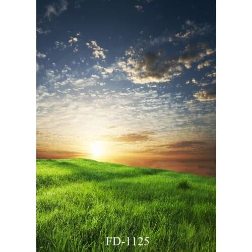 Spring and summer green grassland blue sky white clouds sunrise sunset photo background photography background