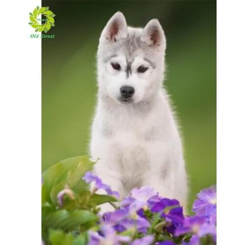 OSH Animal Diamond Painting Animal Full Drill Square Rhinestone Embroidery Cross Stitch Sale Farmhouse Home Decoration