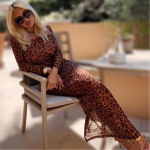 Women Club wear celebrity Long Sleeve Bodycon Leopard Dress Mesh See-through Party Evening Club Slim Fit Sexy Maxi Dress