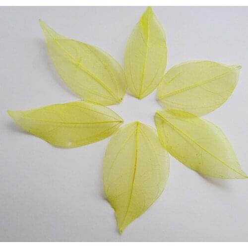 Free shipping Wholesale 100pcs yellow color Natural skeleton leaves for DIY 3-7cm 014005009