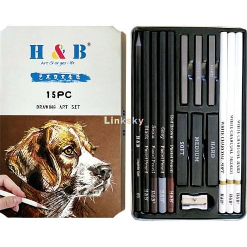 H & B 15 pcs Painting Charcoal Pen Set, Pastel Pencils For Beginners, Students Use Painting Sketch Pens For Art Students