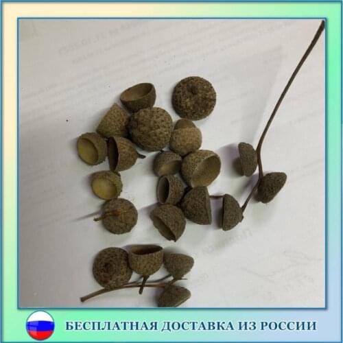 Украшения для праздников Орешка China At AliExpress