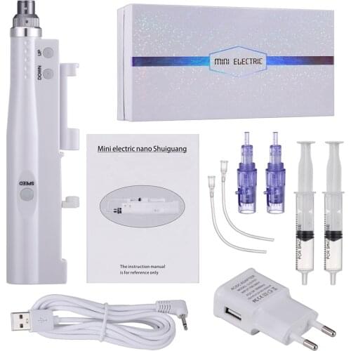 Mini home use skin care 2 In 1 Mesotherapy Gun Nano Mesogun Derma Pen electric Micro Needle Rolling system Pen Meso Injector kit