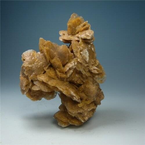 Desert Rose never withers natural mineral stone mineral crystal rose teaching specimens
