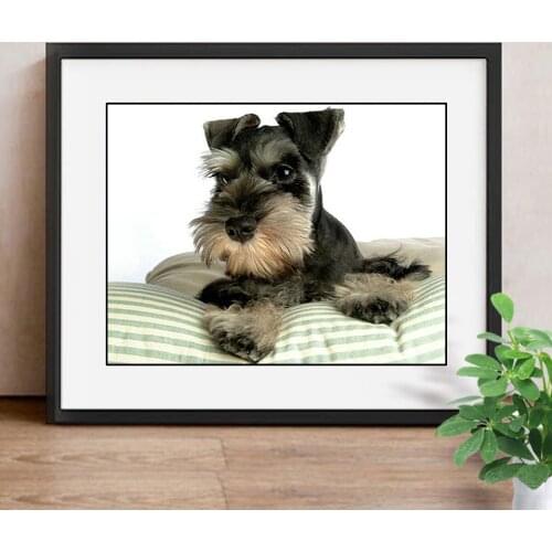 5D DIY Full Square Diamond Painting Cute Dog Rhinestone Mosaic Diamond Embroidery Cross Stitch Resin Drill Home Decor