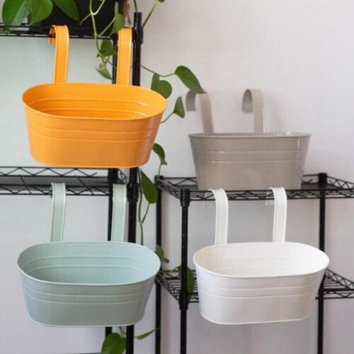 Семена Dreamburgh China At AliExpress