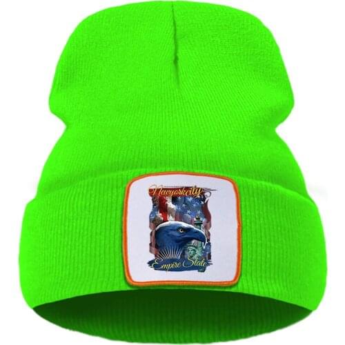 America Cool Funny Eagle Printing Winter Cap Street Fashion Warm Beanie Caps Simple Casual Unisex Caps Quality Comfort Hat