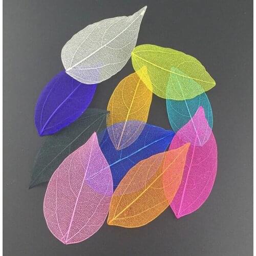 100pcs Pressed Dried Dyed Magnolia Skeleton Leaf Leaves For Wedding Party Home Decoration Pendant Necklace Craft DIY Accessories