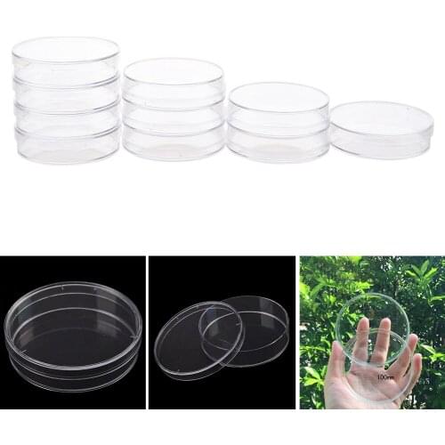 Affordable Clear High Quality Lab Supply Fragile Petri Dishes For Cell Chemical Instrument Crisp 10pcs Polystyrene Sterile