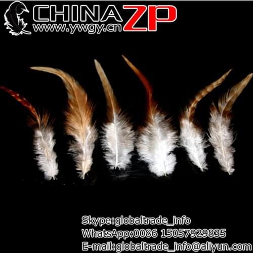 Exporting from CHINAZP Factory 100pcs/lot 15-20CM Best Quality Natural Rooster Saddle Feathers