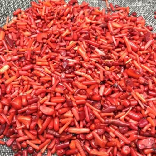 Natural Red coral Shell Powder Crystal Gravel Rock Raw Gem stone Mineral Fish Tank Bonsai Decoration Energy red gem Stone