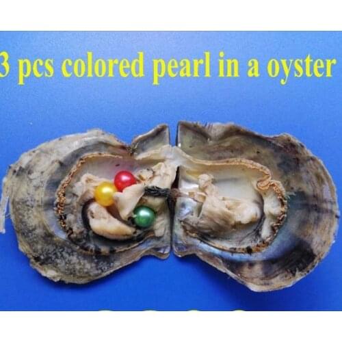 New Fashion Akoya Oyster with Multiple Pearls 3-7 Akoya Round Rainbow Pearls Saltwater Oyster Random Mix Colored Dyed BeadsFP419