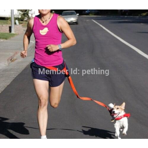 Nylon hands free dog leash set dog leash+waist belt running jogging puppy dog lead collar sport adjustable walking leash 6 color
