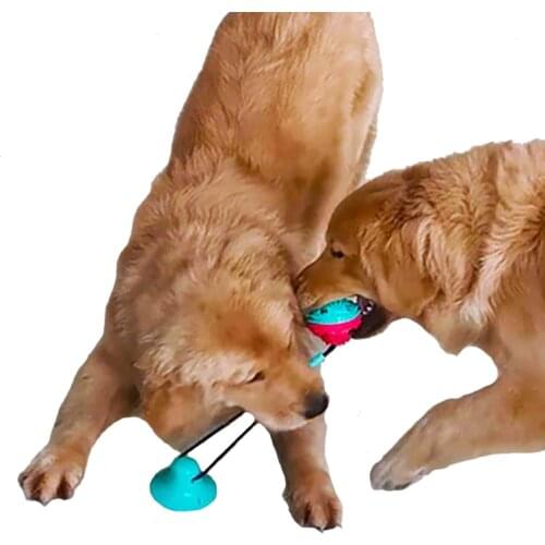 Pet Chew Toy Rubber Wear-resistant Bite-resistant Dog Interactive Training Toy Sucker Leaking Food with Rope Combination Toy