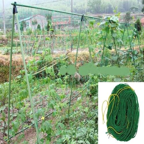Garden Plants Climbing Net Plastic Nylon Net Morning Glory Flower Vine Netting Support Net Grow Net Holder Garden Netting 1roll