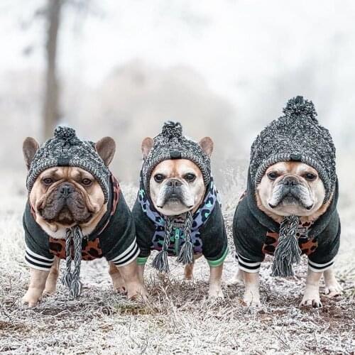 SHUANGMAO Hats For Dogs
