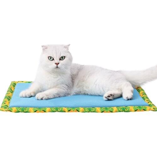 Summer Pet Ice Nest Cooling Mat Sleeping Mat Ice Feeling Sponge Cooling Mat Non-slip Pet Self-cooling Mat For Dogs & Cats