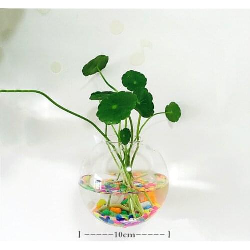 Diameter=10cm Wall Mounted Glass Terrarium Vase with open Home Decorative Hanging Glass Vase Glass Fishbowl