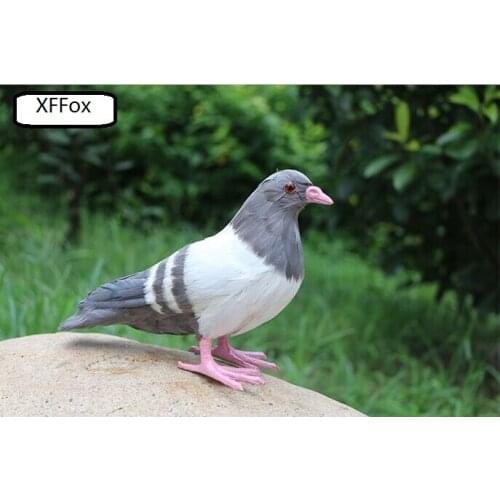 Creative real life gray pigeon model plastic&feather pink feet&mouth dove bird doll about 22x18cm xf0037
