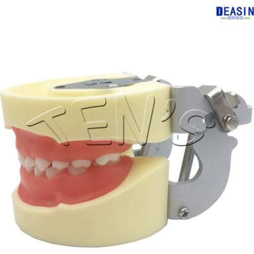 2019 new Dental oral teaching model child preparation model deciduous teeth preparation model removable teeth